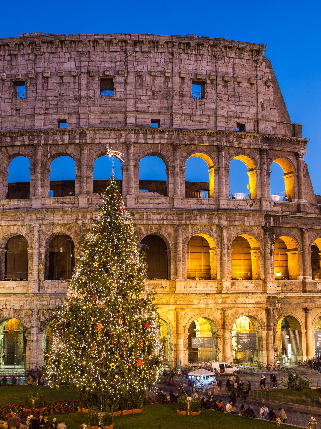 A Christmas tree outside the Colosseum in Rome.