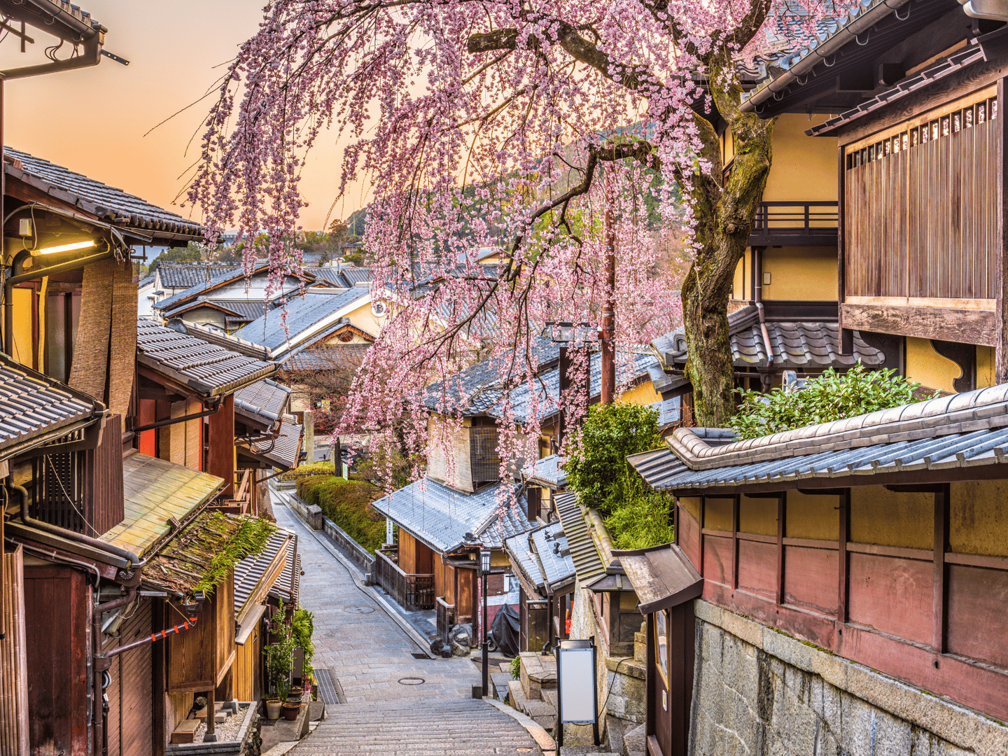 Kyoto's historic district in the Spring