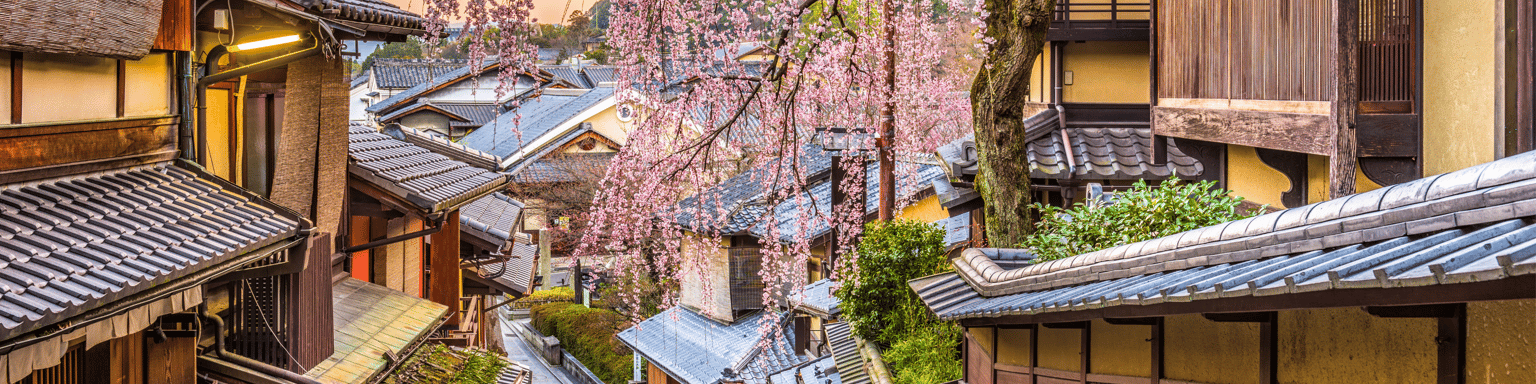 Kyoto's historic district in the Spring