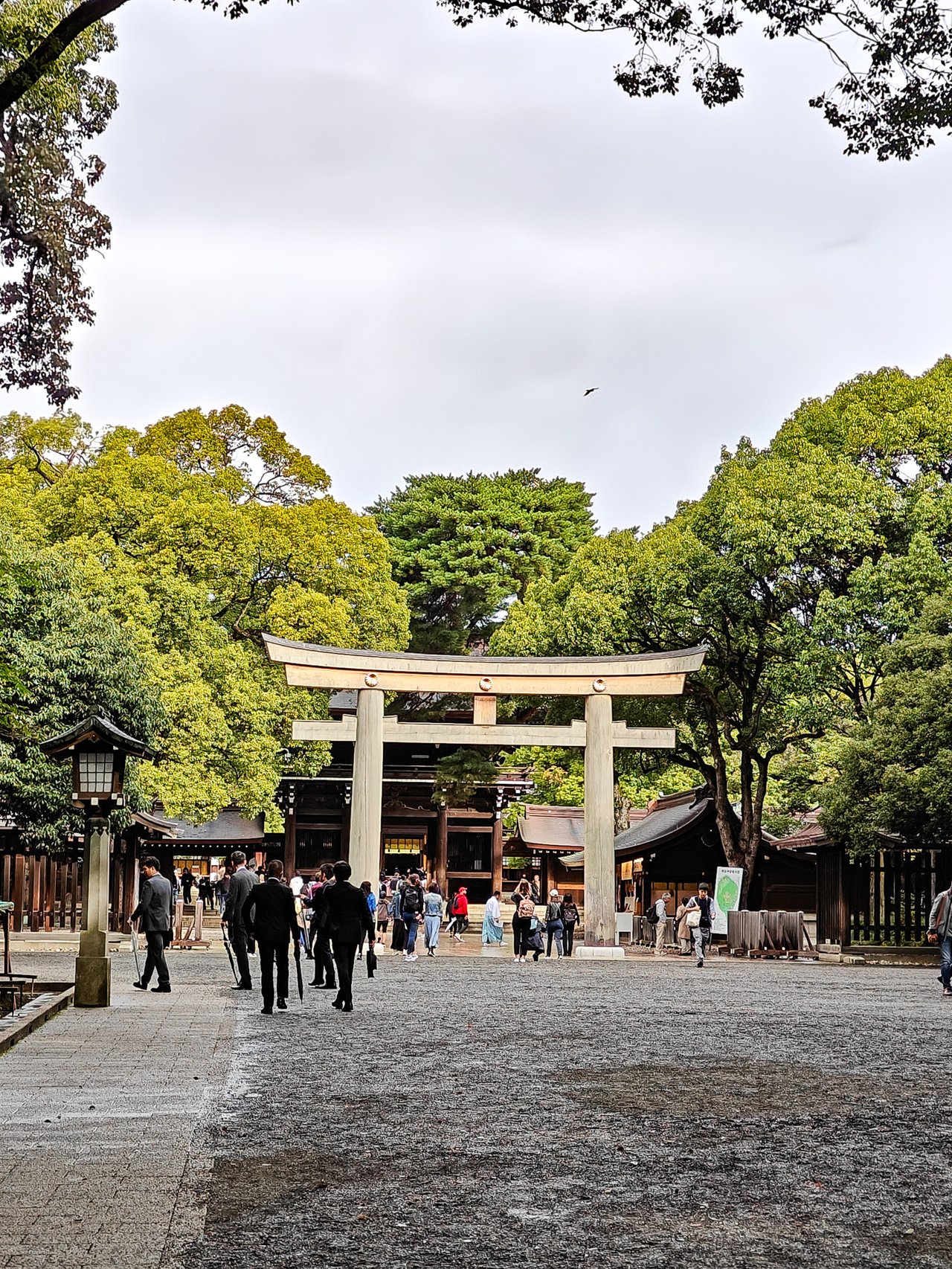 The main gate to Meiji Jingu in Tokyo, Japan