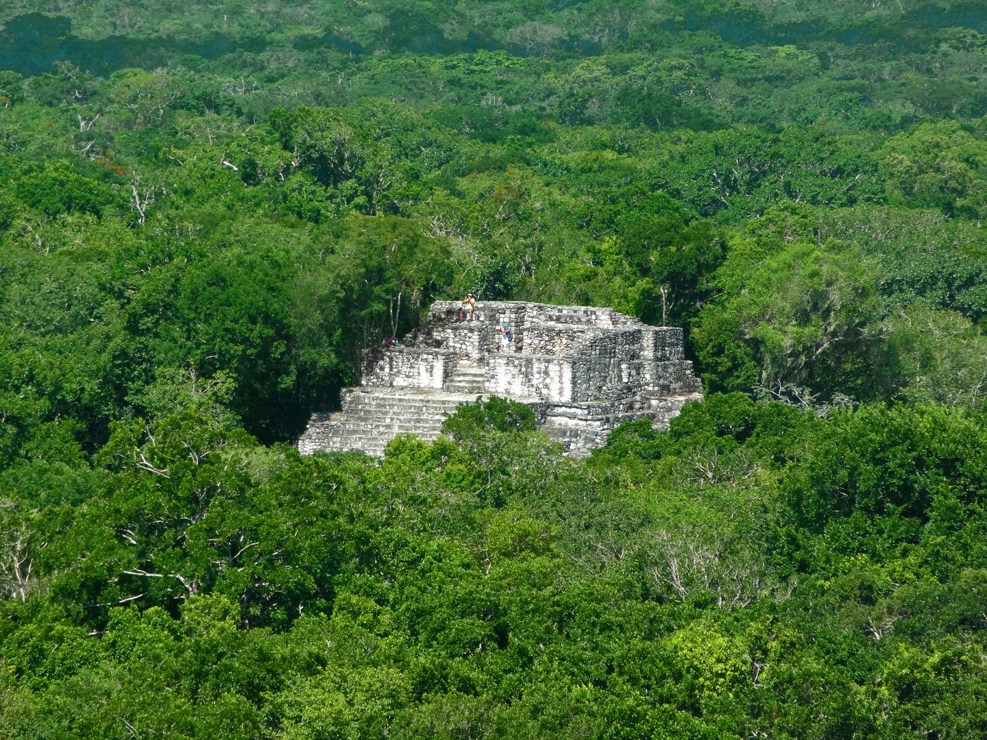 Calakmul, a Mayan temple in the middle of the jungle