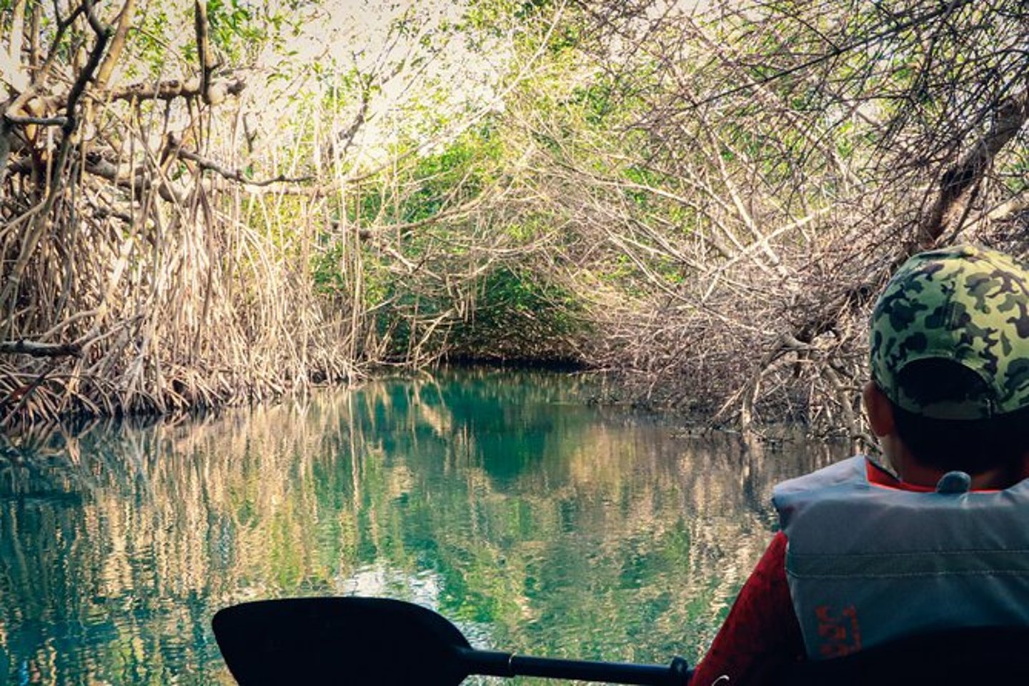 Kayaking between the mangroves in Nuchupte Lagoon, Cancun.