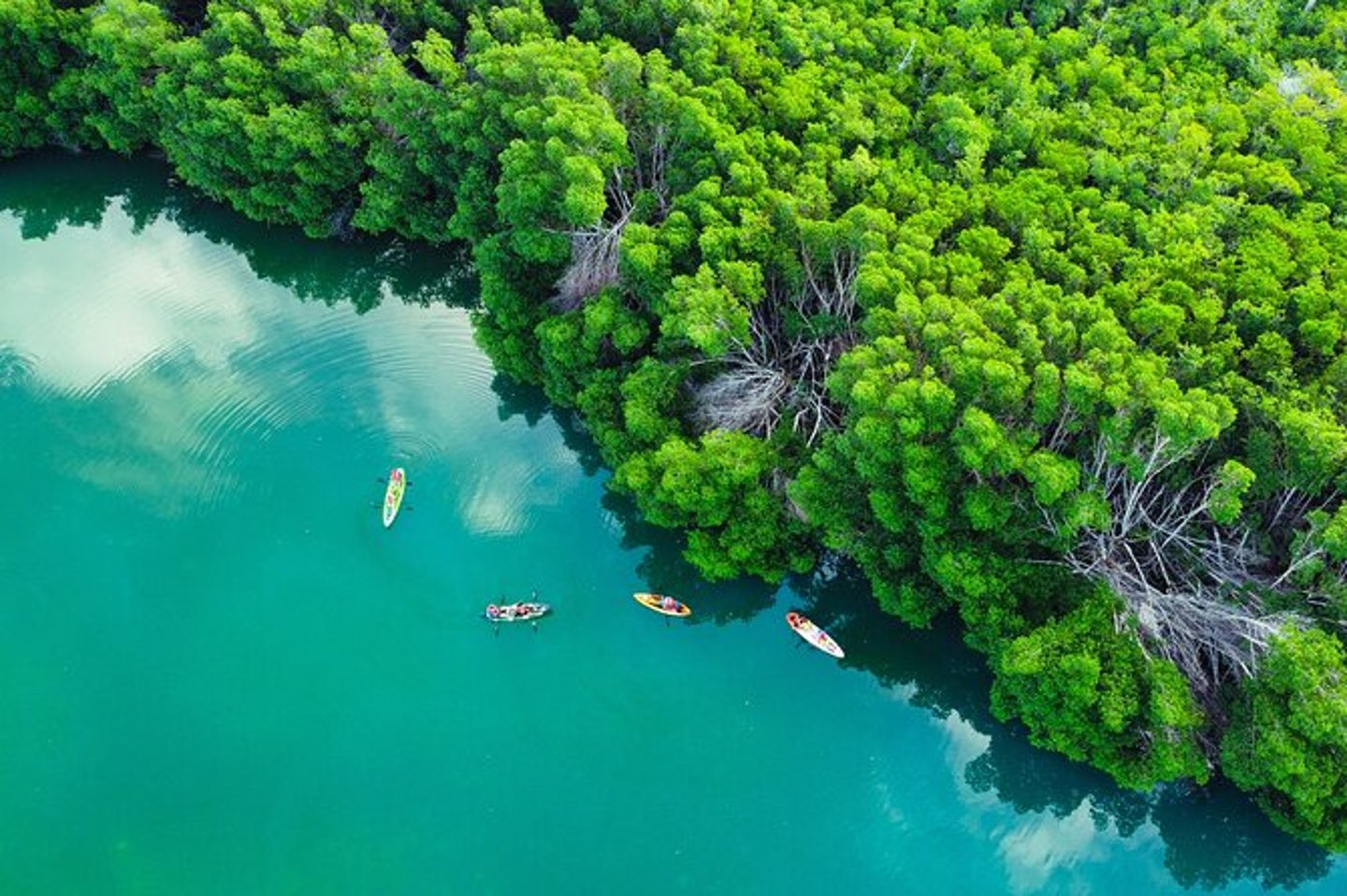 An aerial view of kayaks along the mangroves of Nichupte Lagoon.