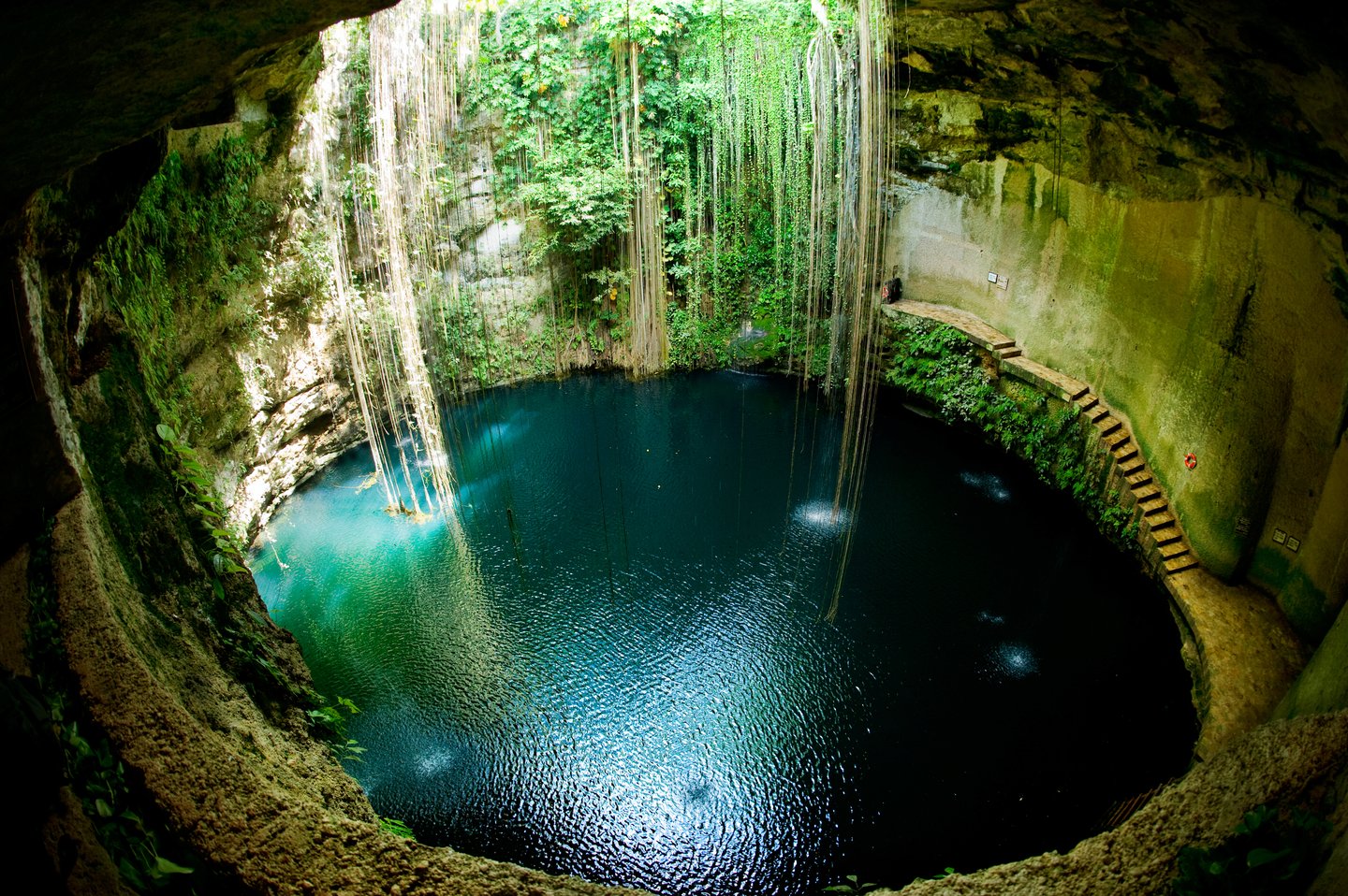 Looking down into Ik-Kil Cenote, Chichen Itza