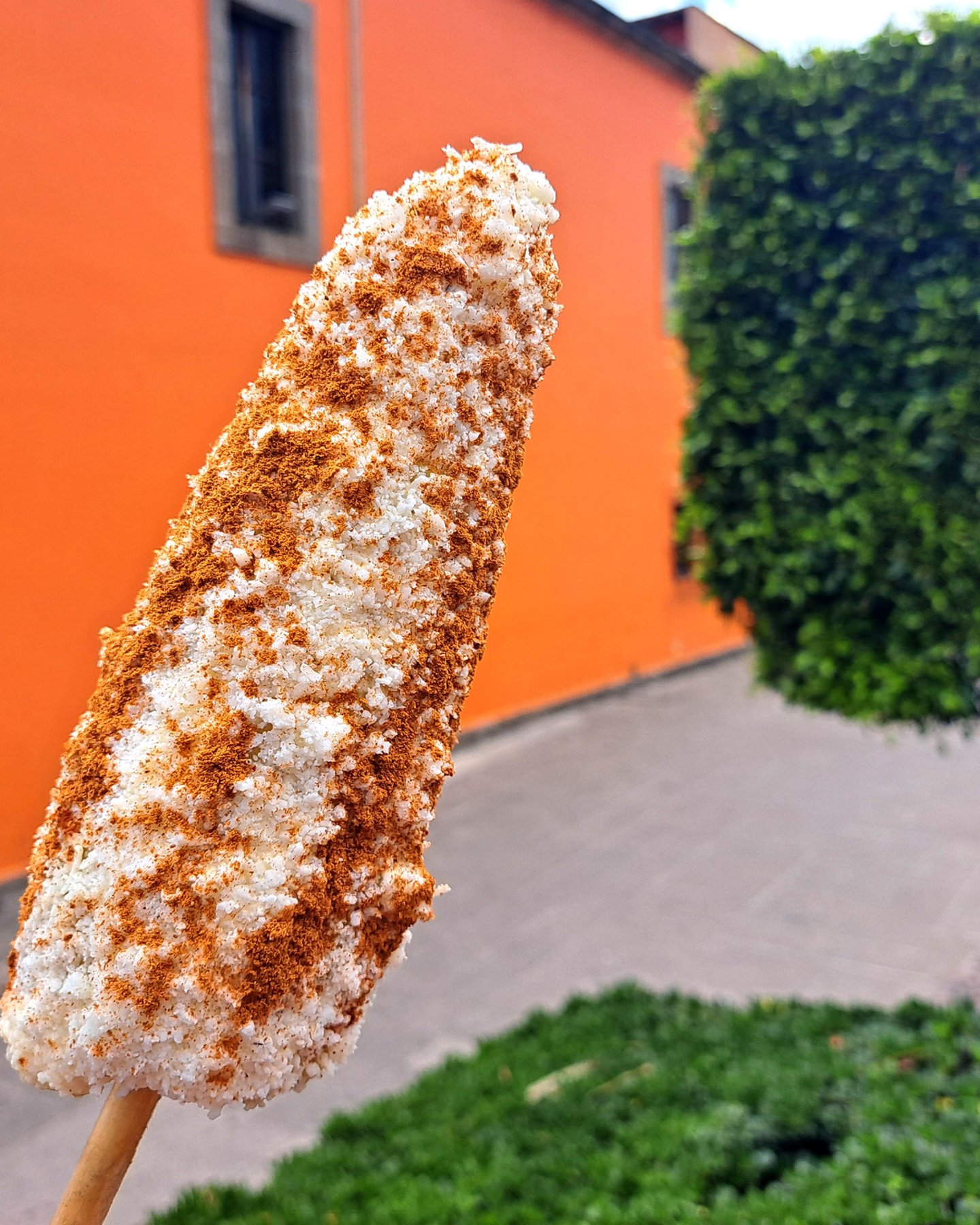 Grilled gorn, a popular street food in Mexico