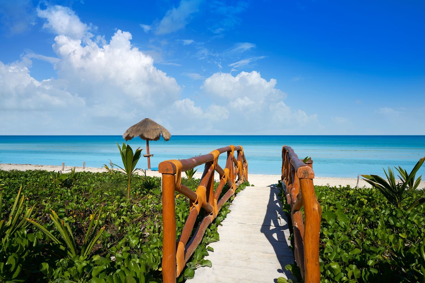 The path to the beach on Isla Holbox, Mexico