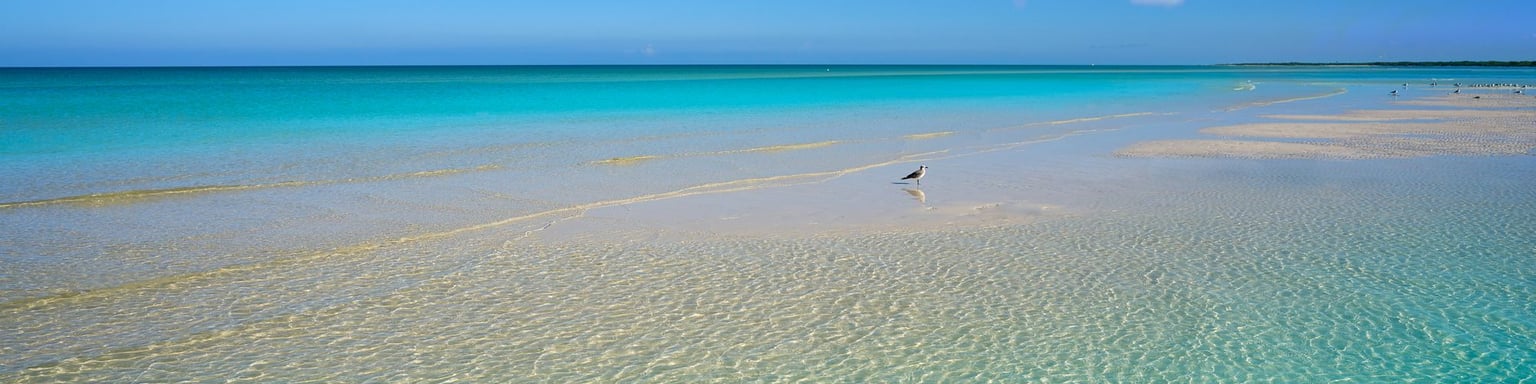 The beautiful lagoon surrounding Isla Holbox in Mexico
