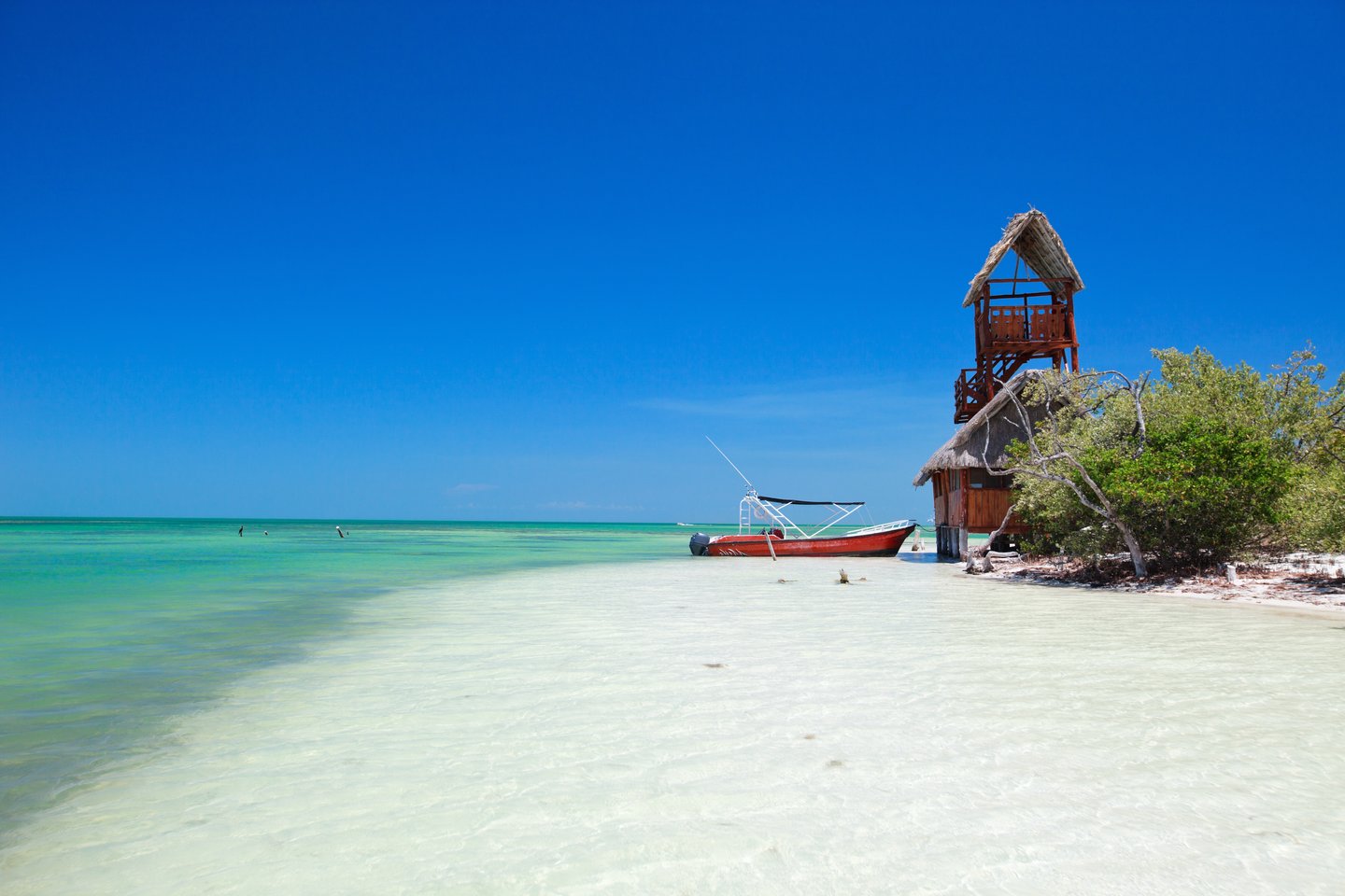 A boat and thatched structure on the beach at Holbox