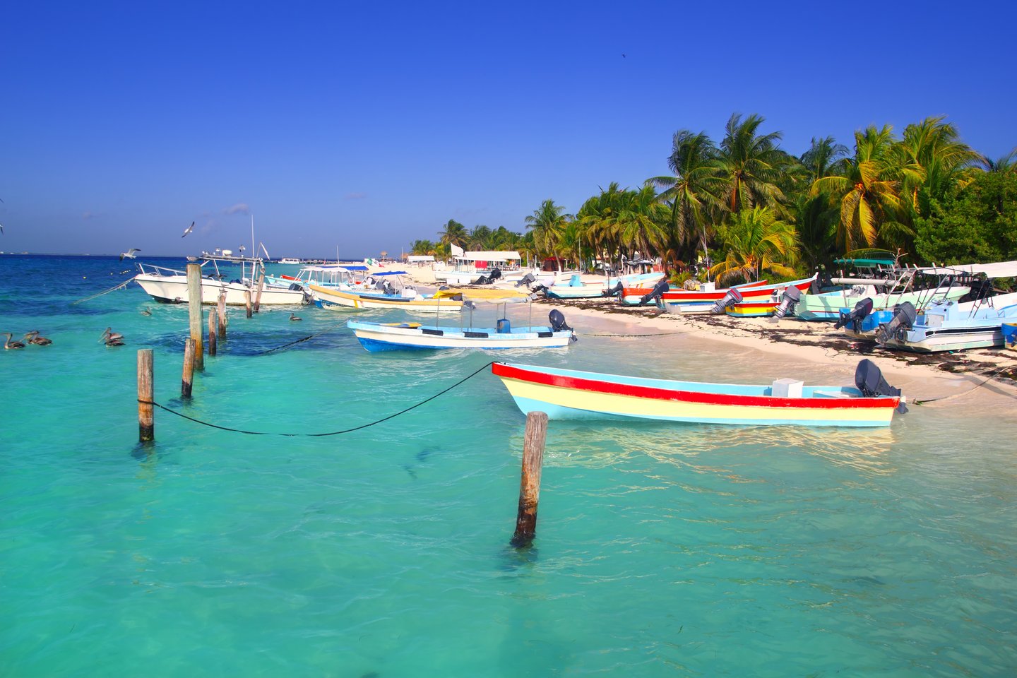 Colourful boats docked on a beach on Isla Mujeres, Mexico