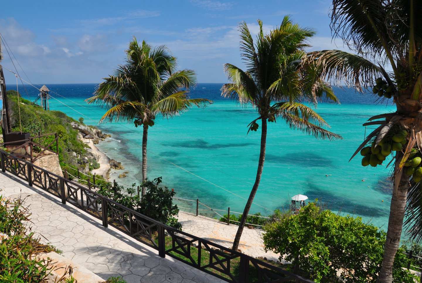 Clear water and palm trees on Isla Mujeres, Mexico