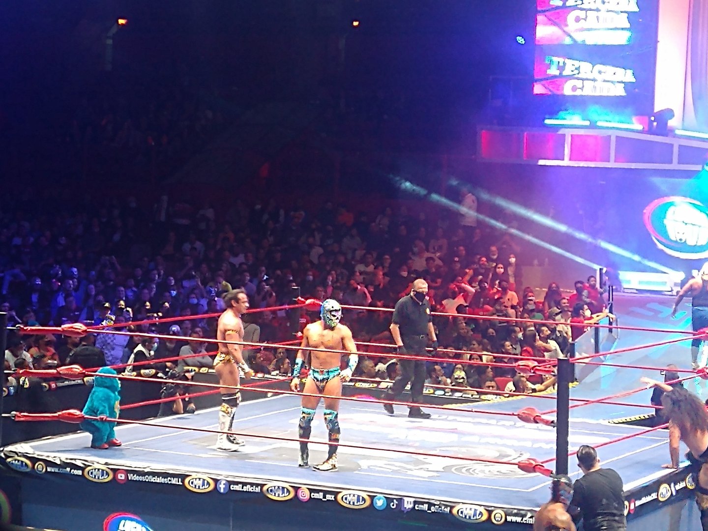 In the Lucha Libra ring