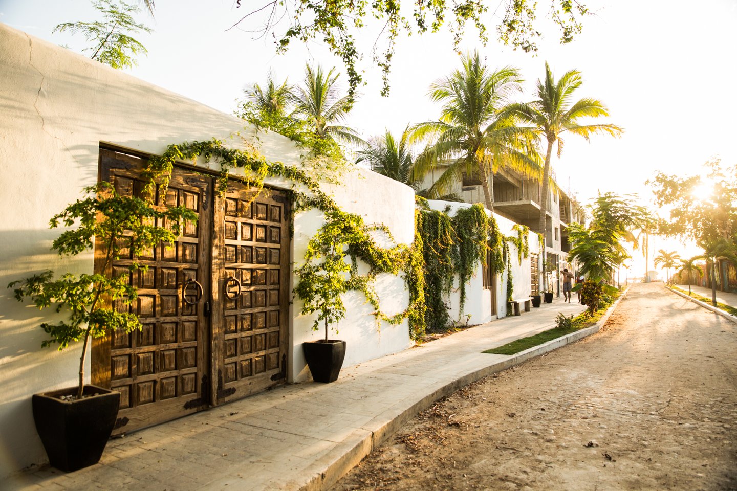 Palm trees line a street in San Pancho, Nayarit