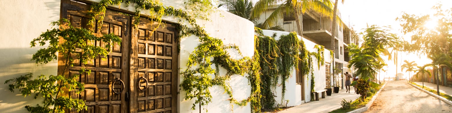 Palm trees line a street in San Pancho, Nayarit