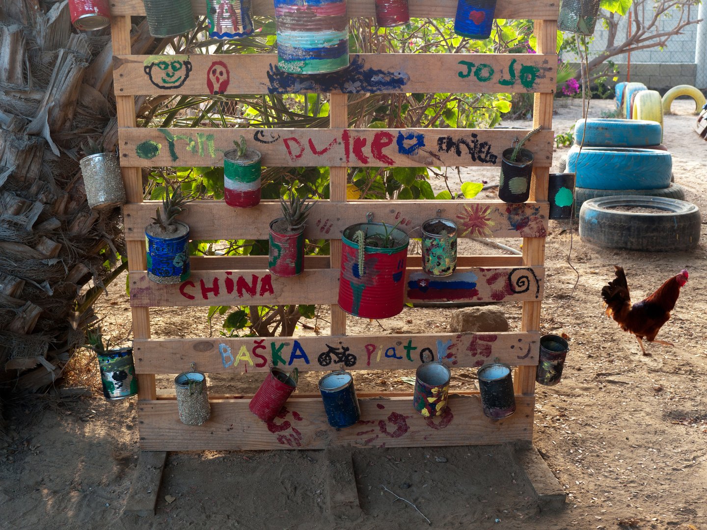 Plants and chicken by a school in Mexico