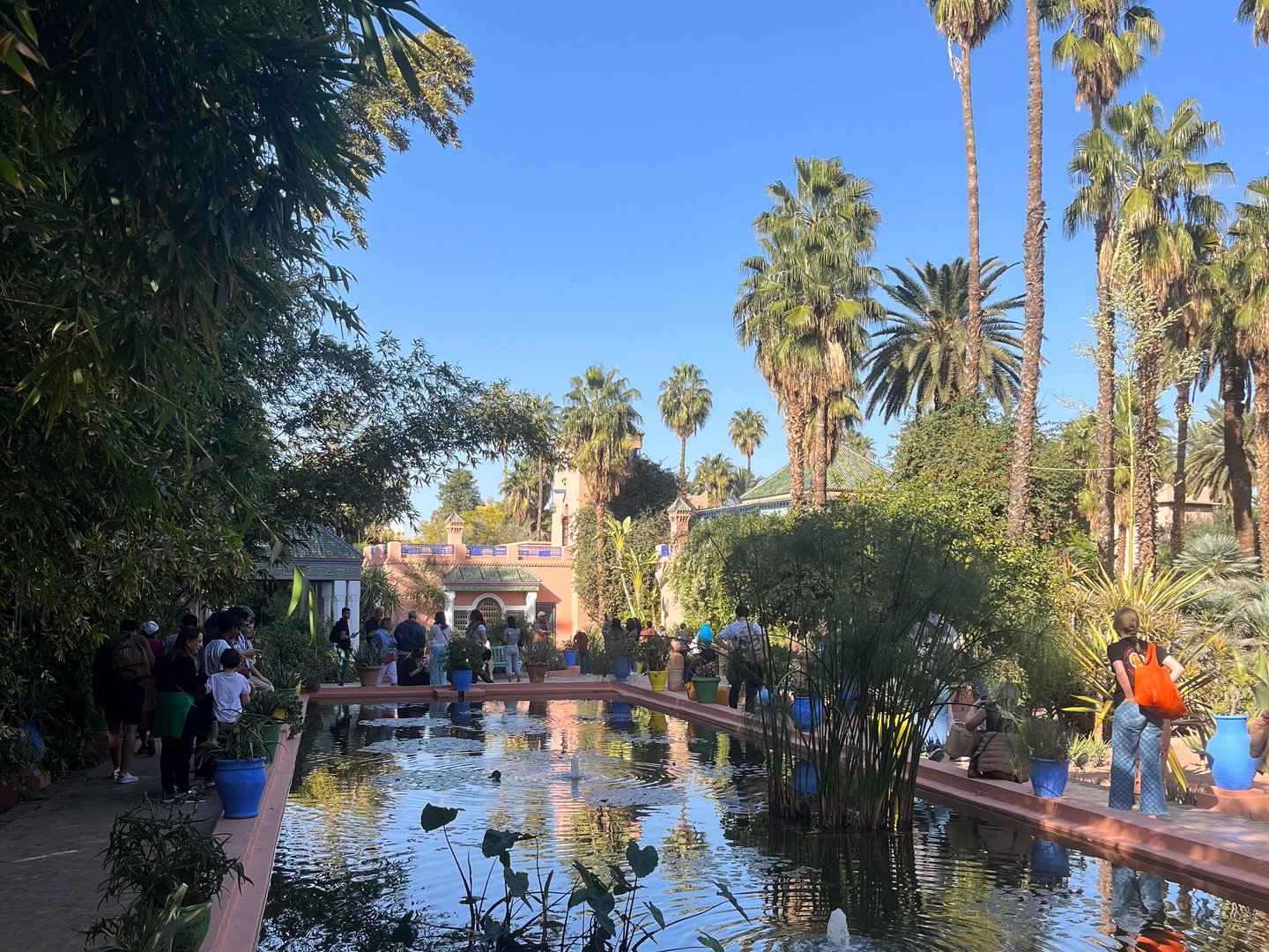 A pool in the Majorelle Gardens in Marrakech, Morocco