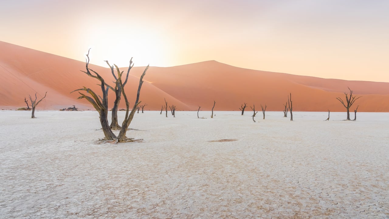 Dead trees in the sunrise in Deadvlei, Namibia