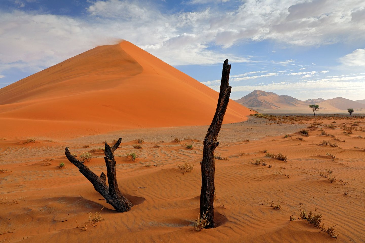 Dead trees in front of a huge red sand dune in Sossusvlei, Namib desert, Namibia
