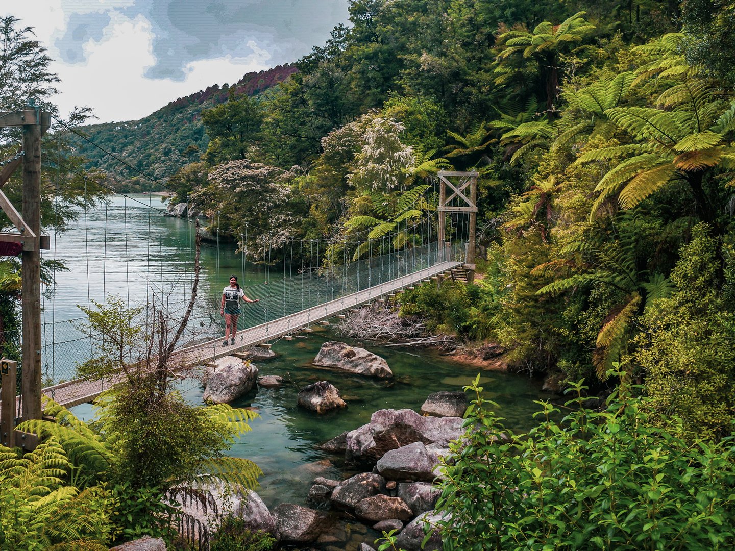 Bark Bay Falls swing bridge at Abel Tasman National Park