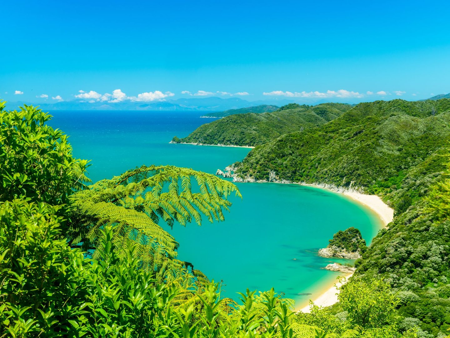 Aerial view of a white, sandy beach and forest in Abel Tasman National Park