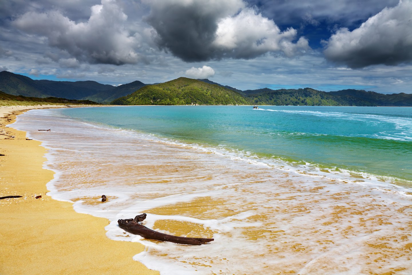 A golden beach in Abel Tasman National Park on a cloudy day