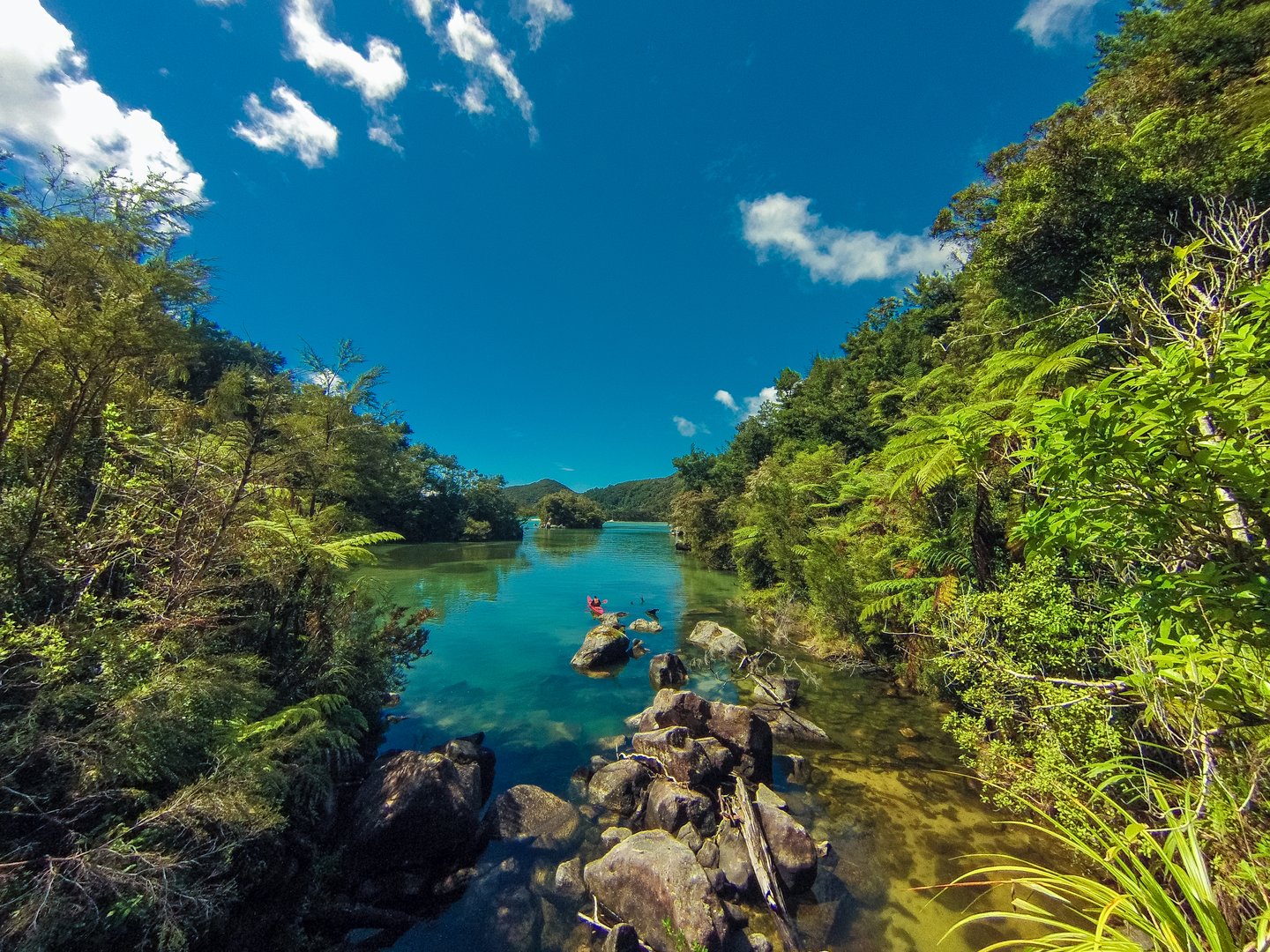 Kayaking through the forest in Abel Tasman National Park