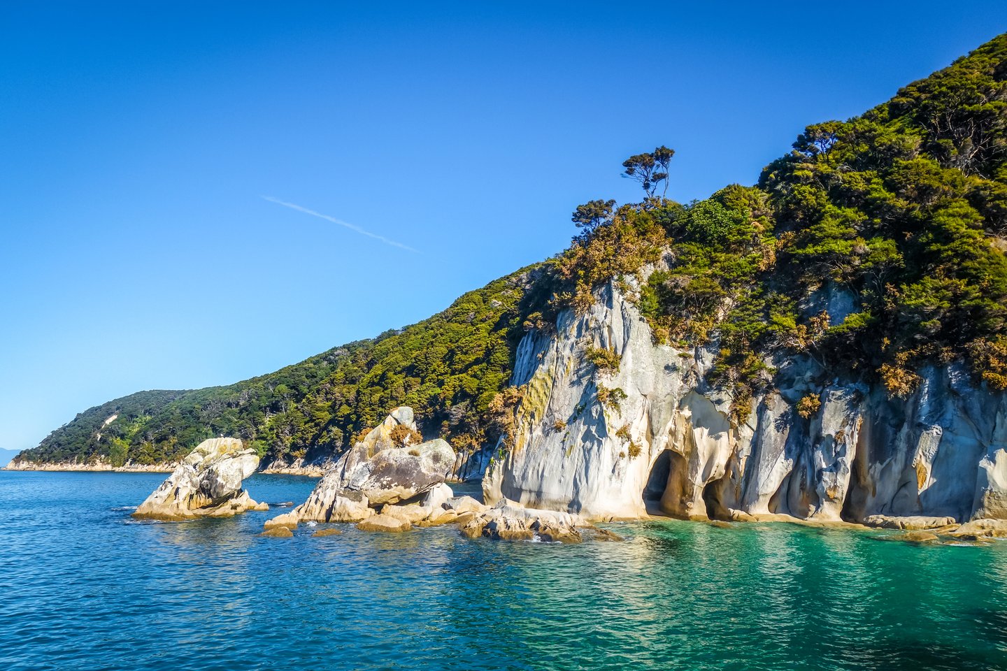 Rocks along the coastline at Abel Tasman National Park