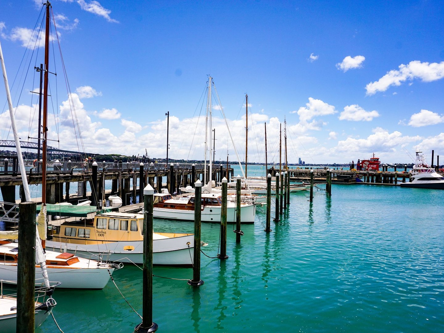 Boats at the harbour in Auckland