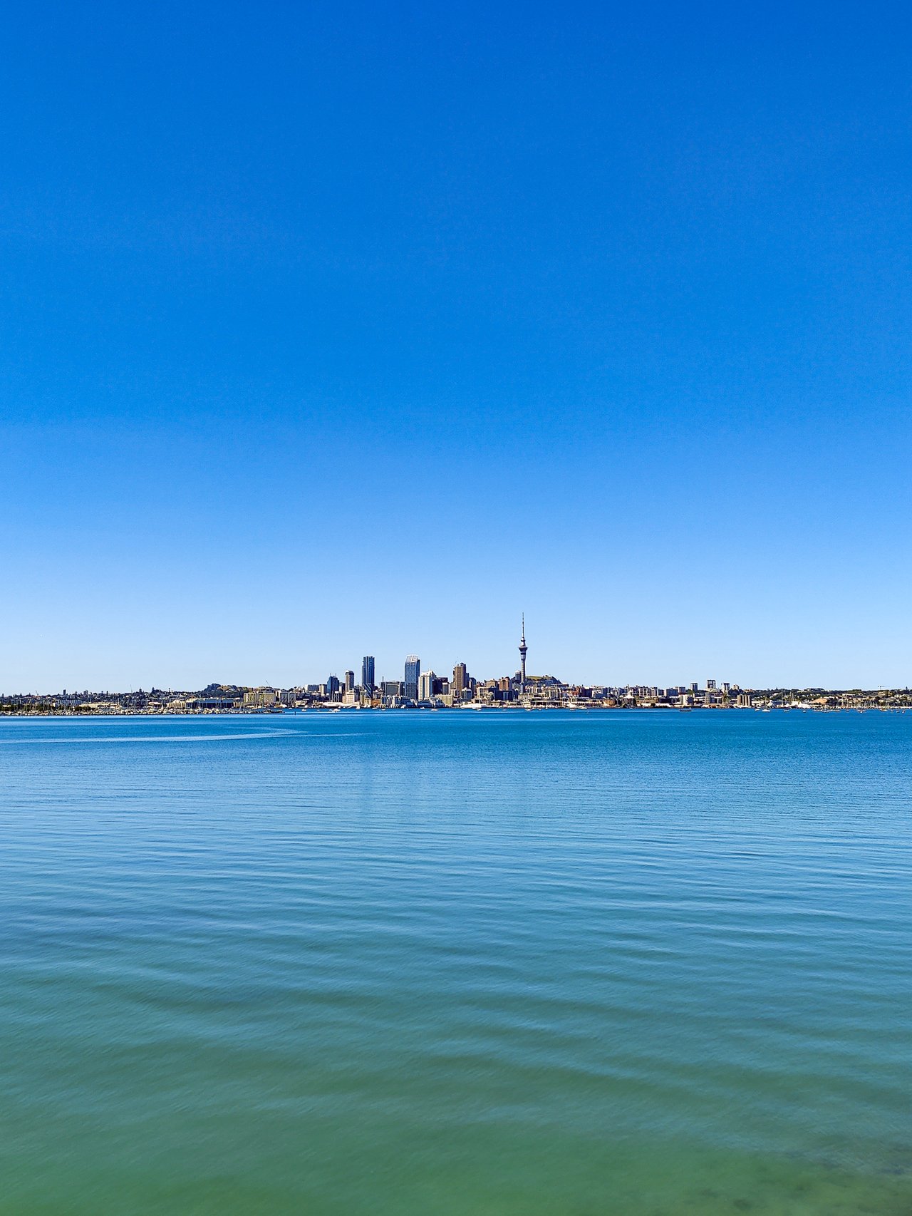 Looking across the harbour at Auckland city
