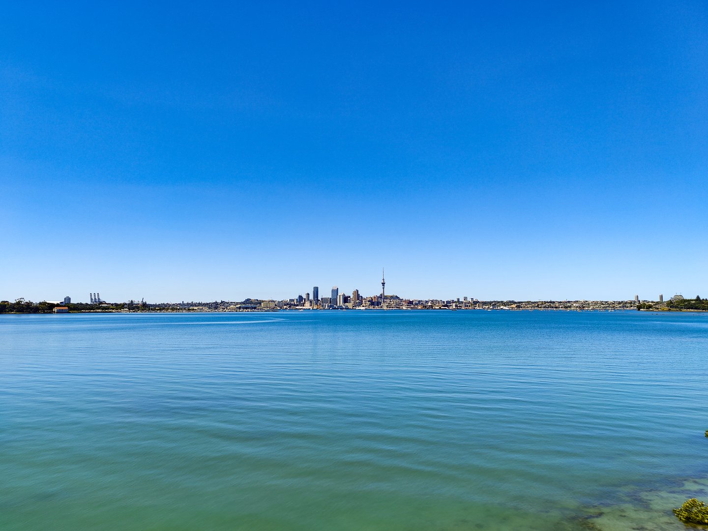 Looking across the harbour at Auckland city
