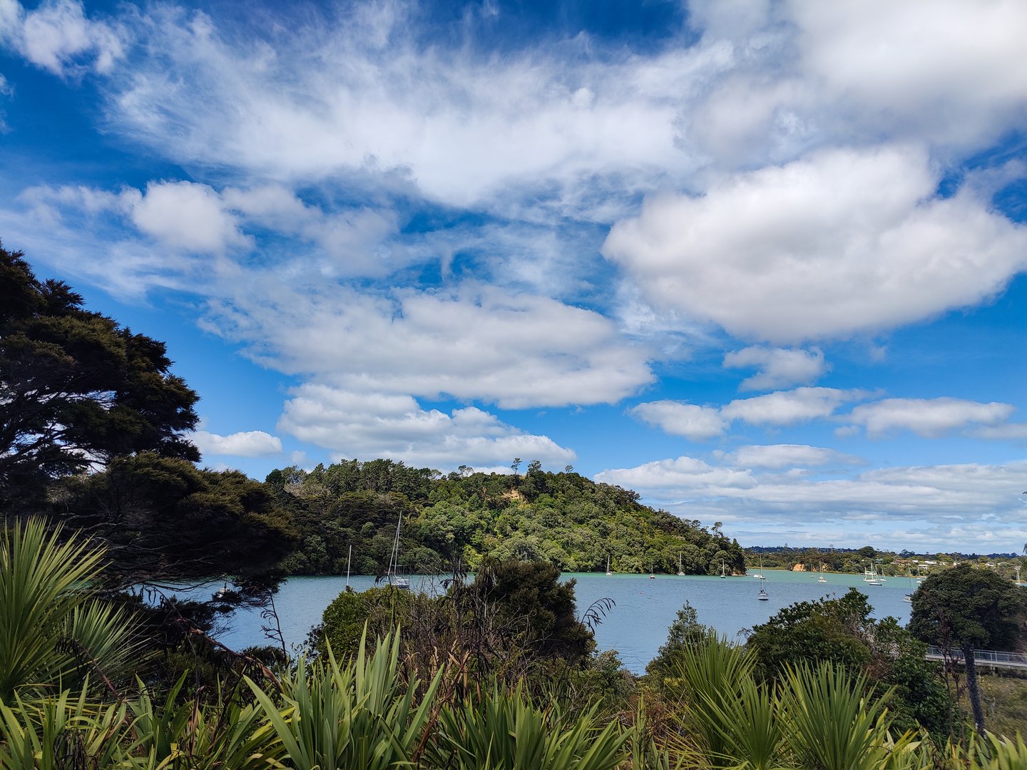 The harbour in Hobsonville Point, Auckland