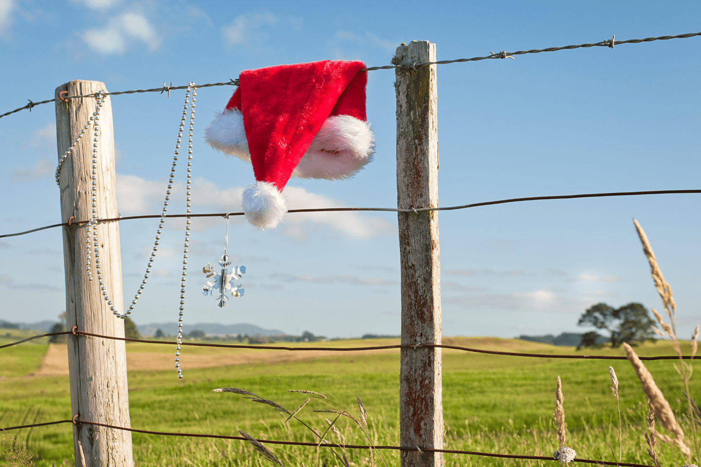 A santa hat hangs on a fence in rural New Zealand