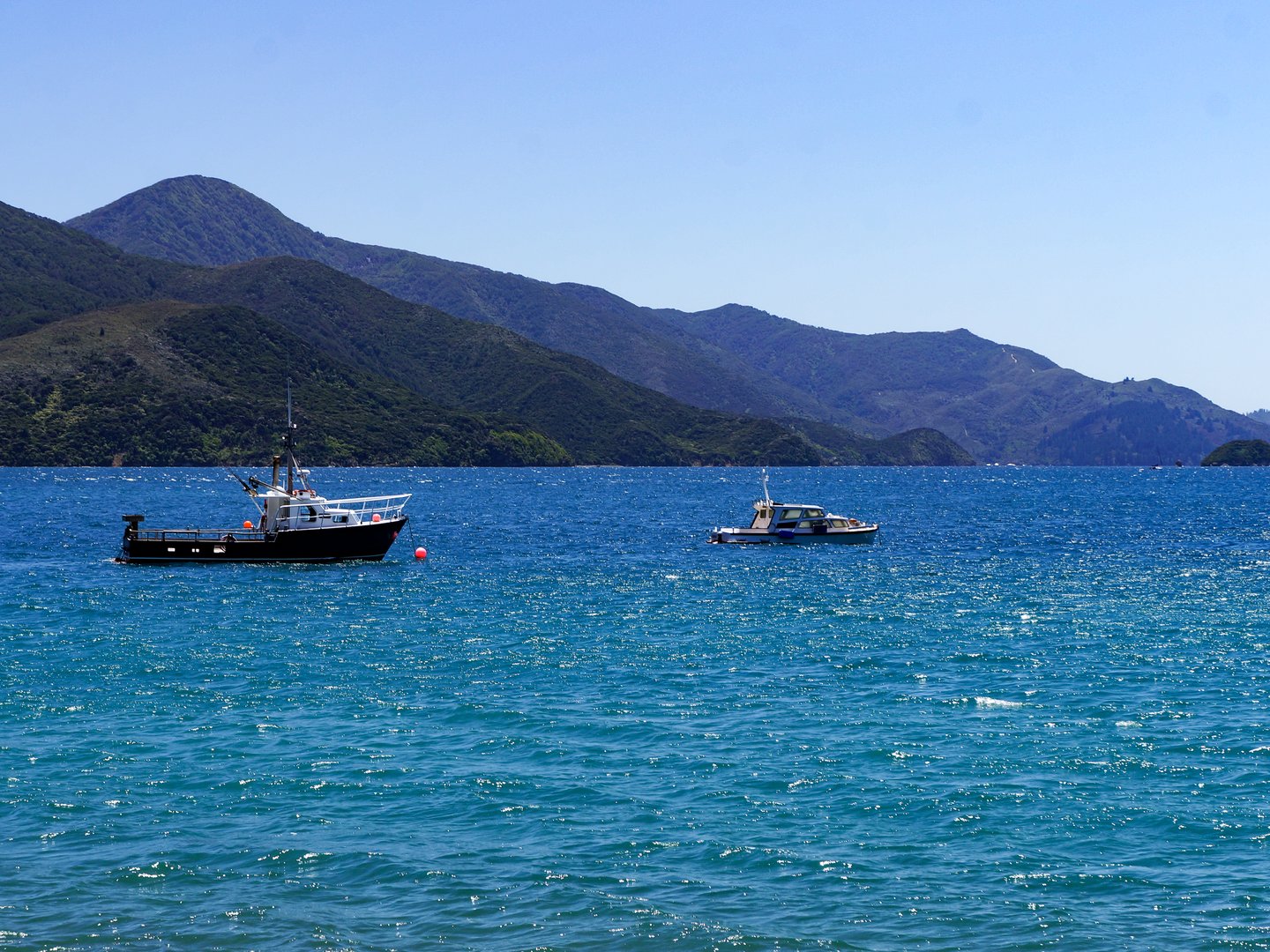 Fishing boats at French Pass