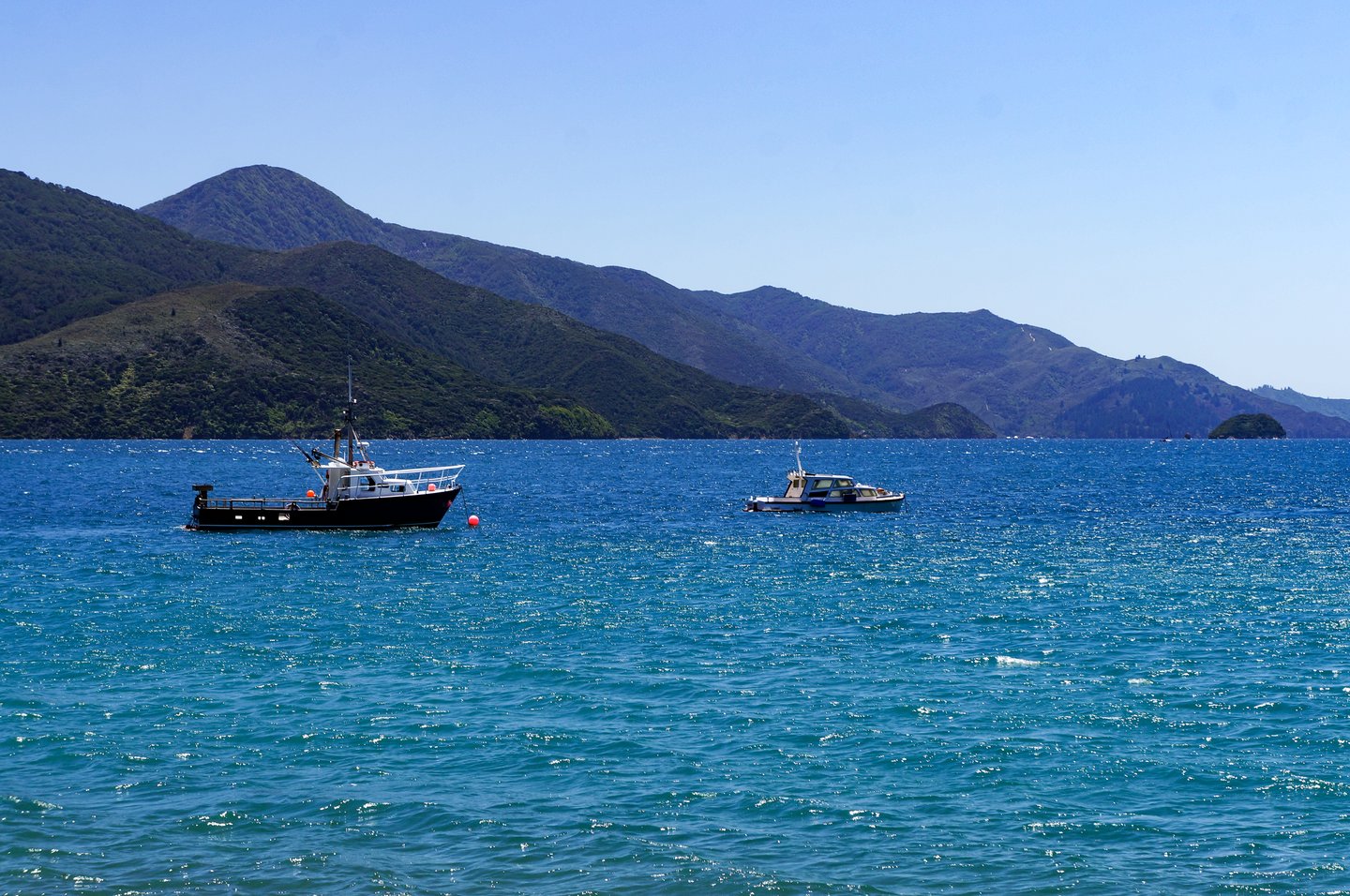 Fishing boats at French Pass
