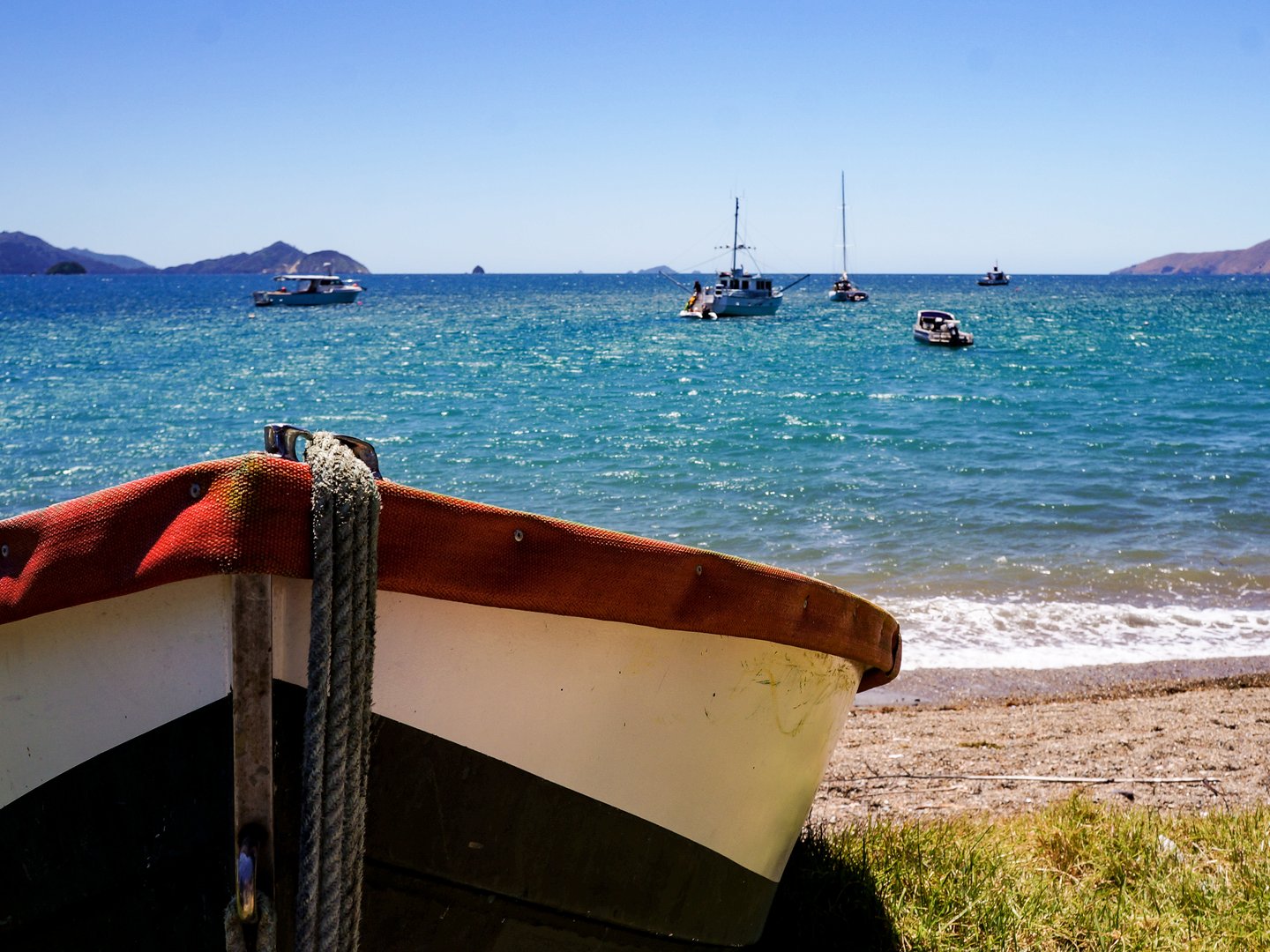 A small boat on the beach at French Pass