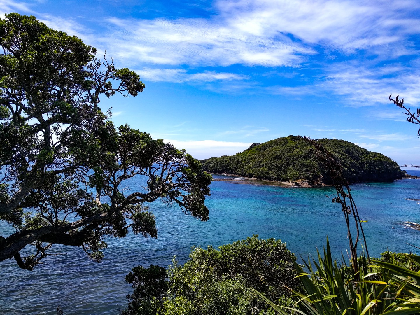 Goat Island Marine Reserve