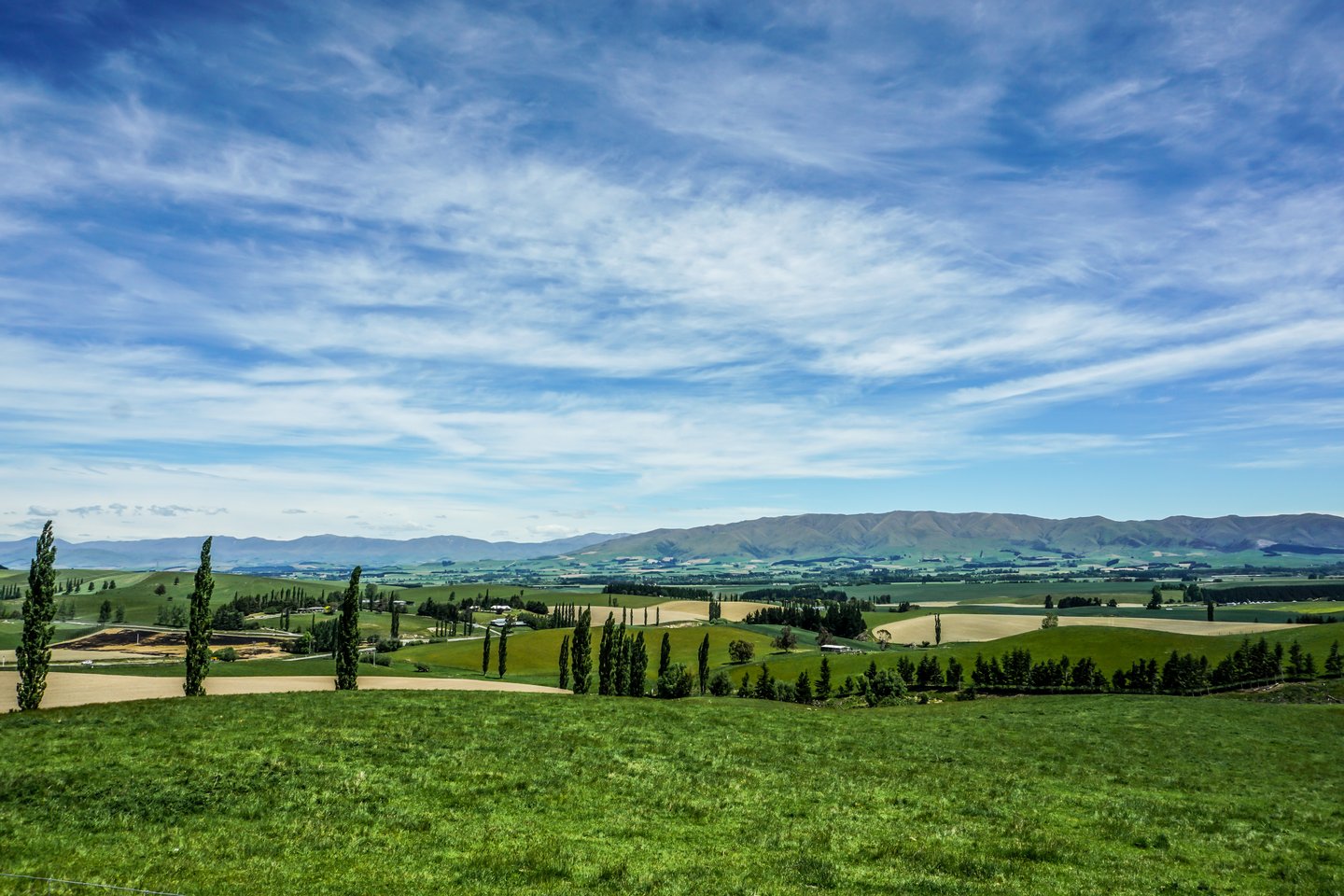 View over green hills and trees