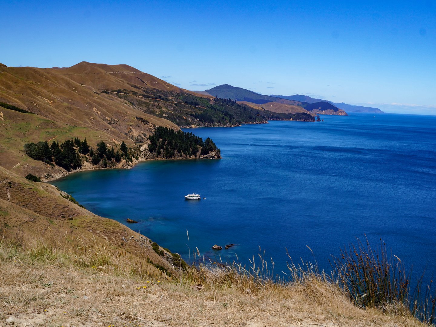 The blue water bordering the brown cliffs