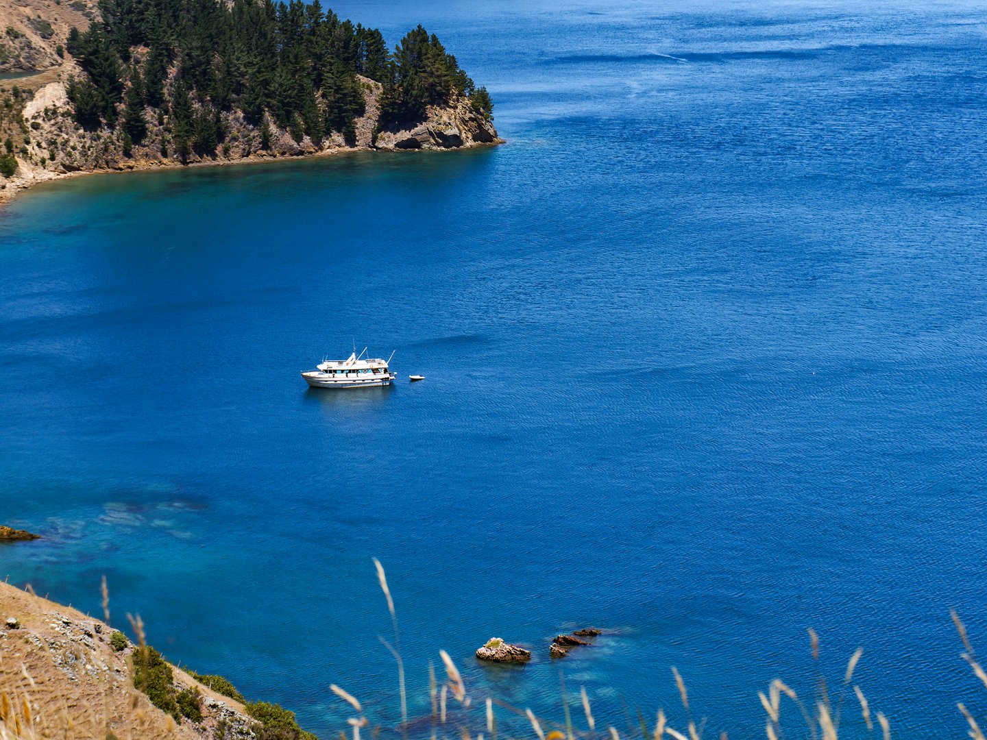 A boat in the sounds
