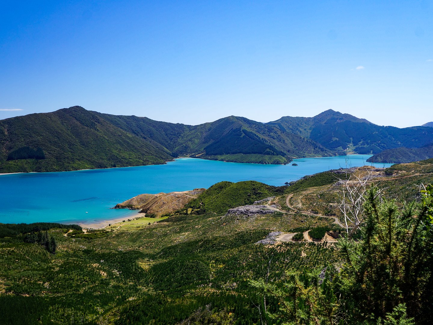 Looking across the Marlborough Sounds