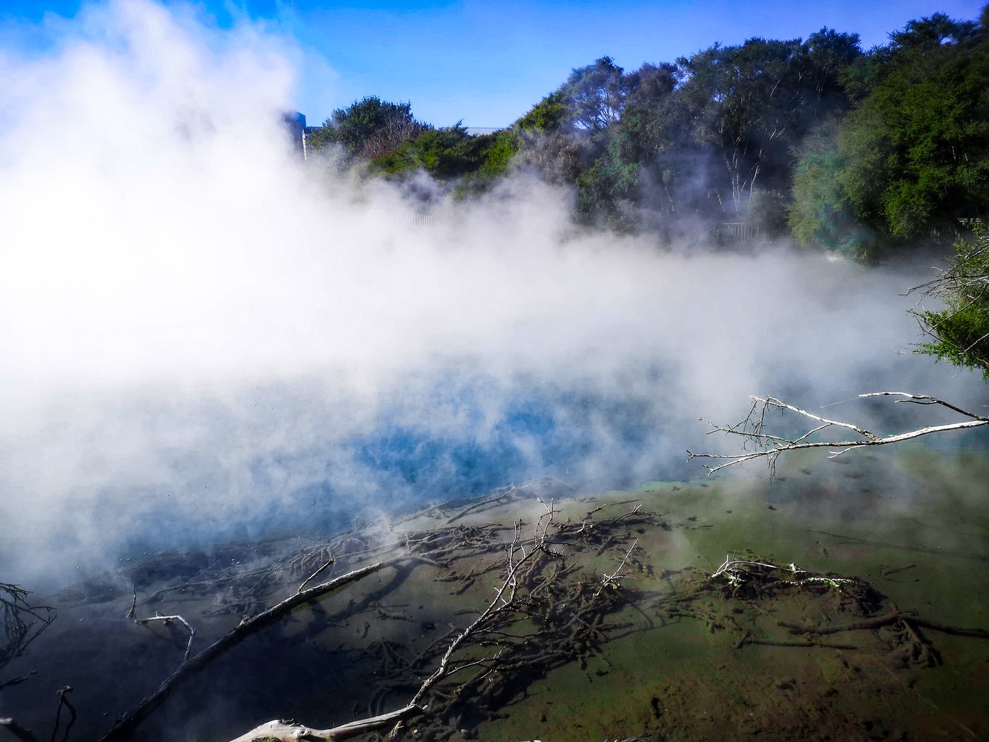 The steaming lake and boiling mud in Kuirau Park, Rotorua