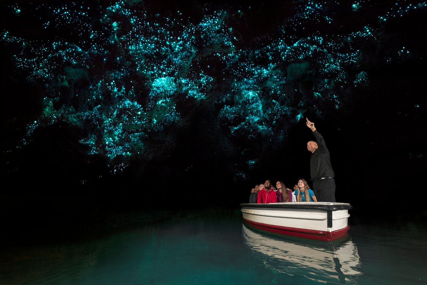 Glowworms in Waitomo Caves.