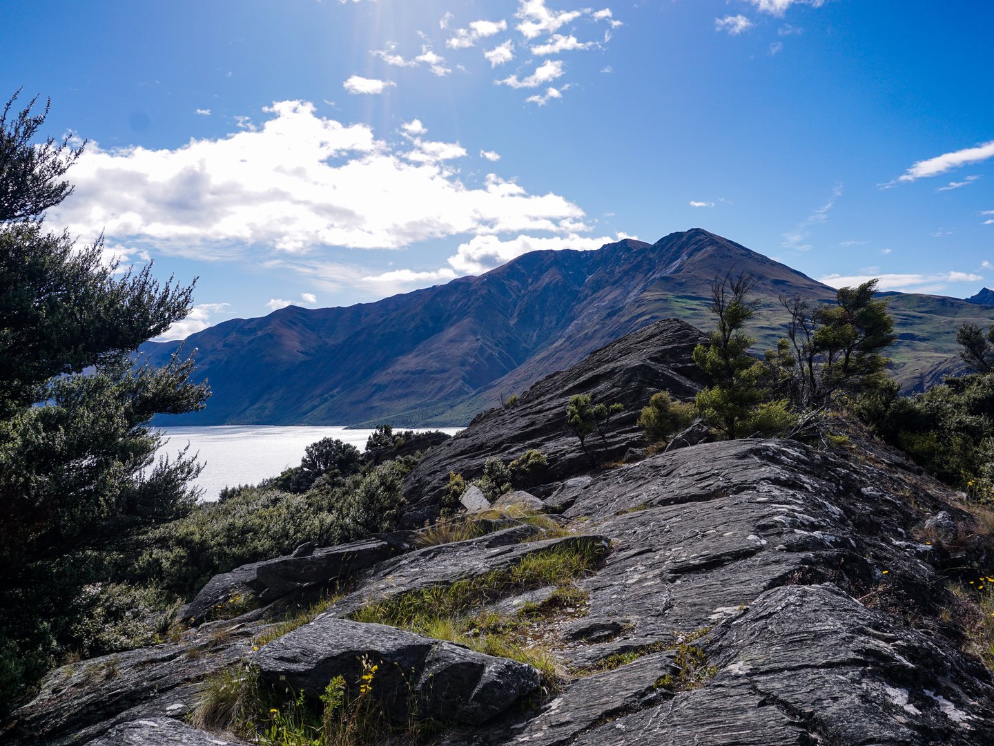 Rocky terrain on Mou Waho island, New Zealand