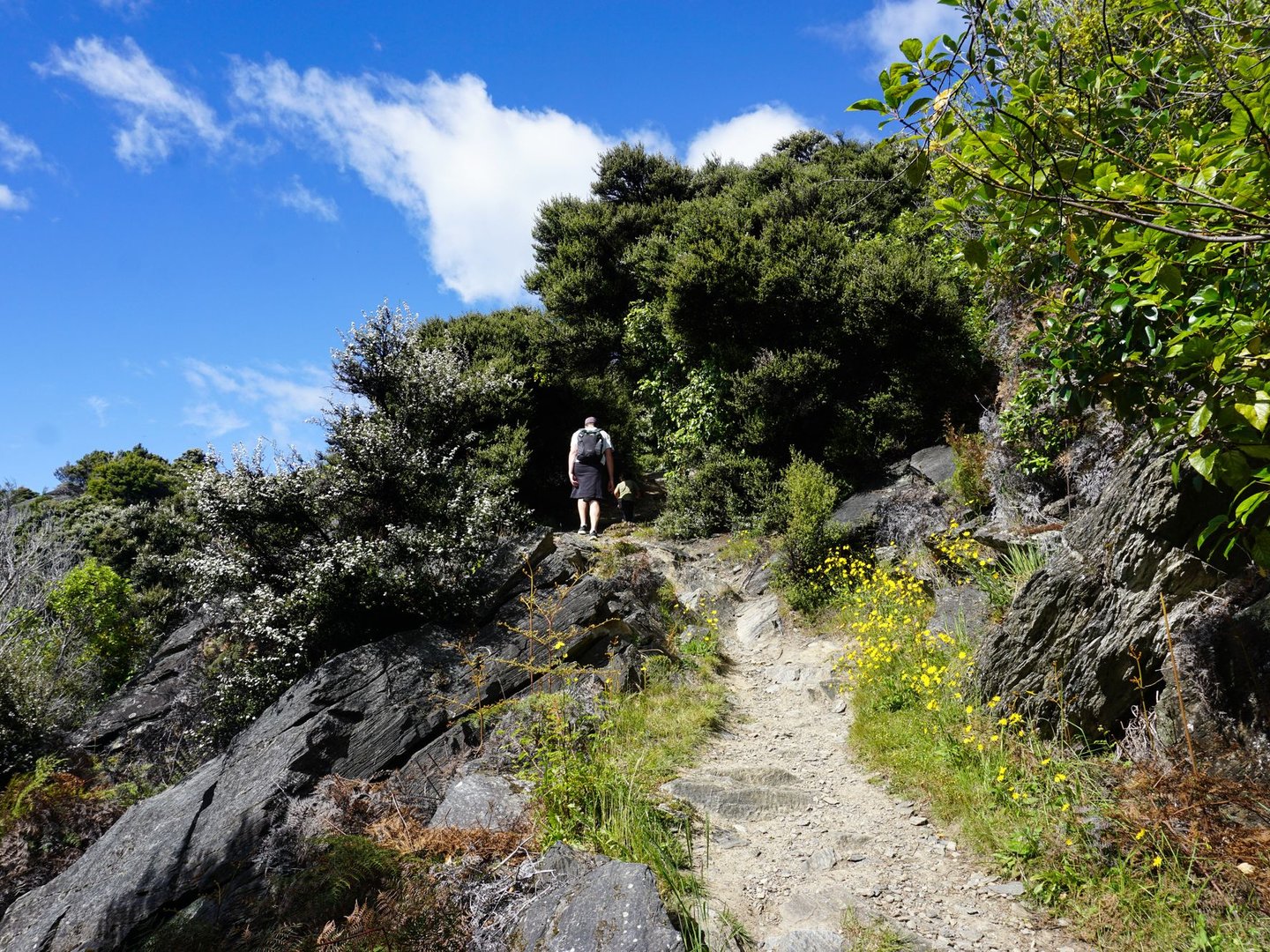A man and child walking up the trail on Mou Waho Island, New Zealand