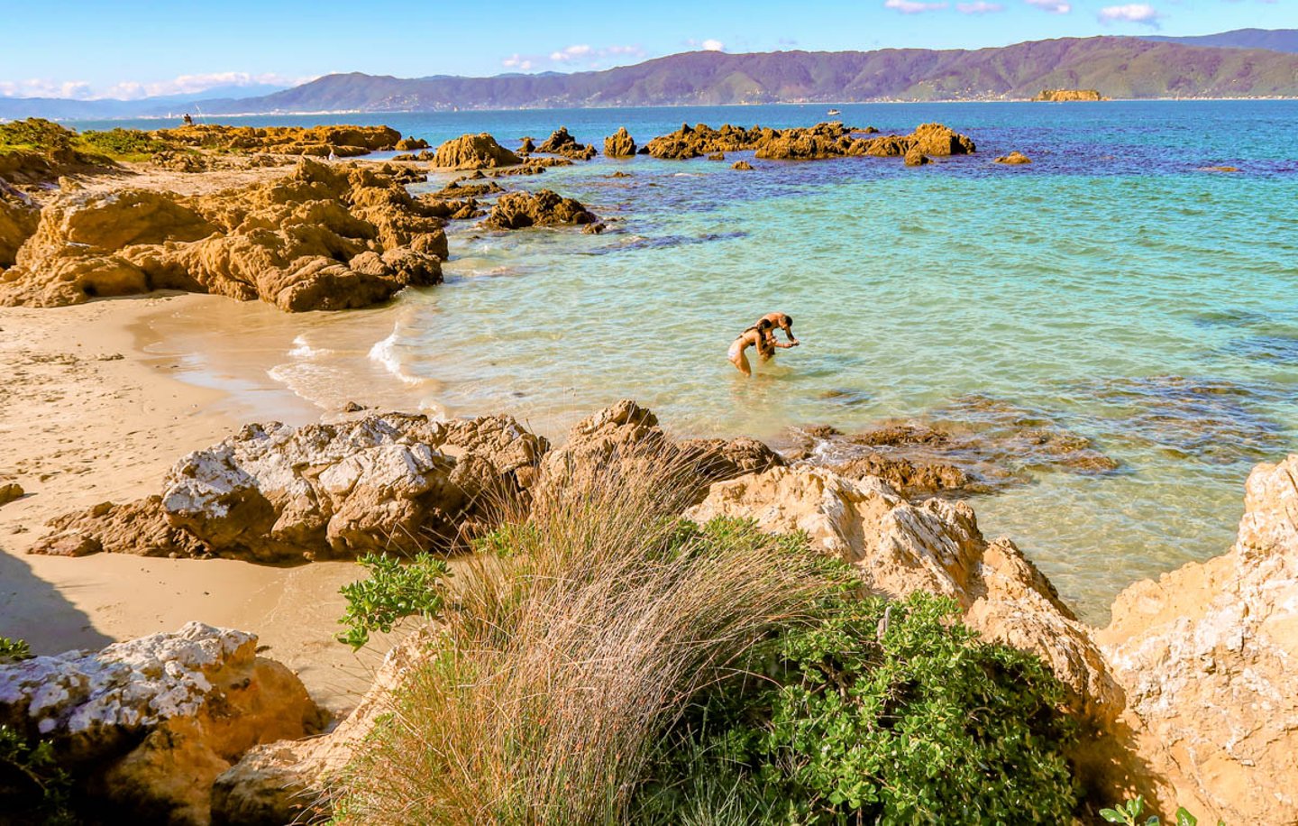 A sandy beach in Wellington on a sunny day