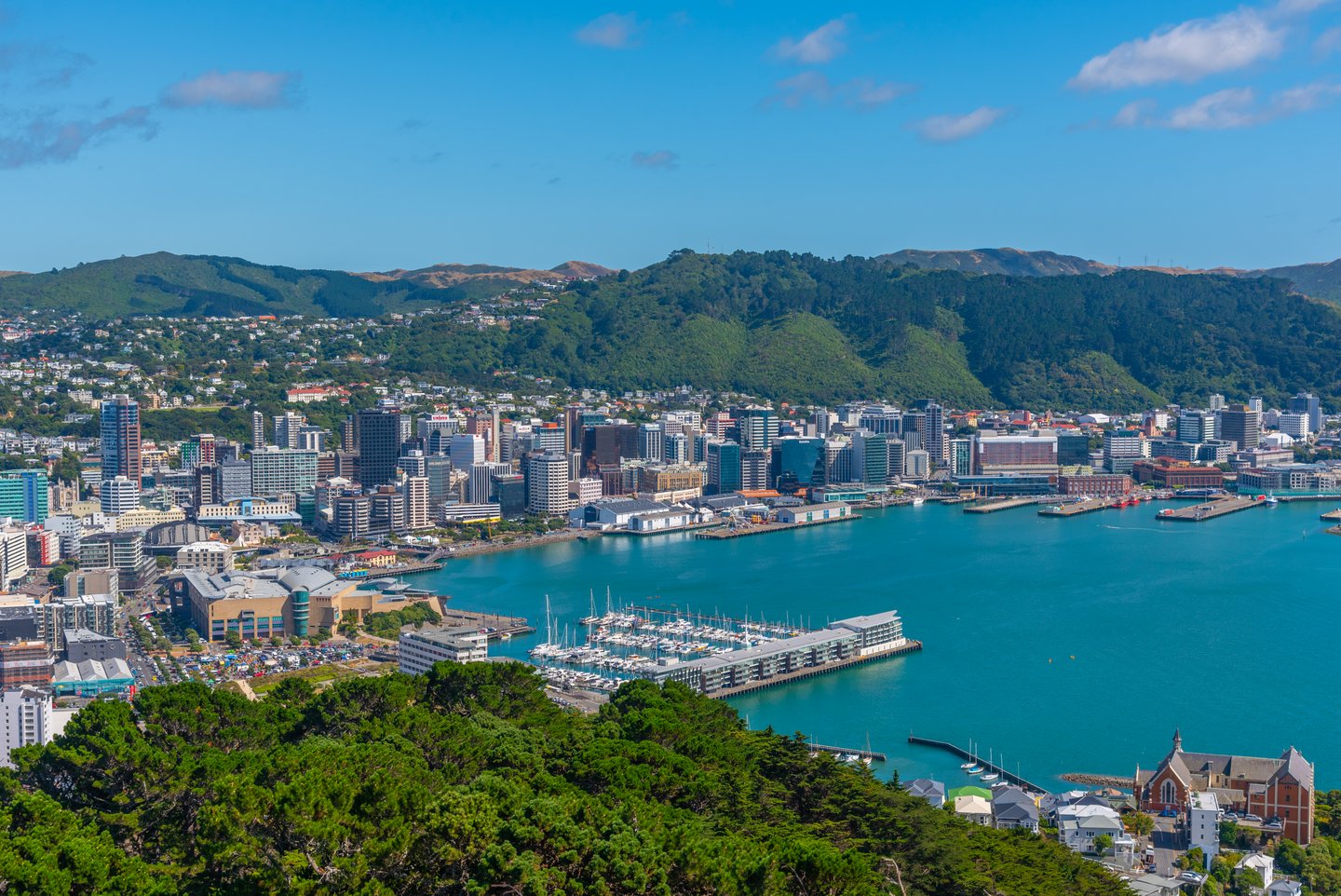 The view of central Wellington from Mt Victoria