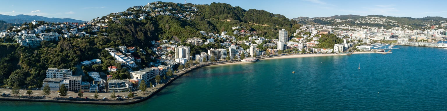 A panoramic view of Oriental Bay in Wellington, New Zealand
