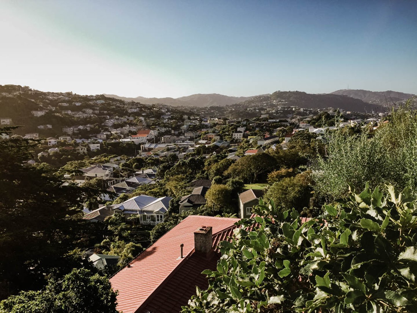 Views over Wellington suburbs