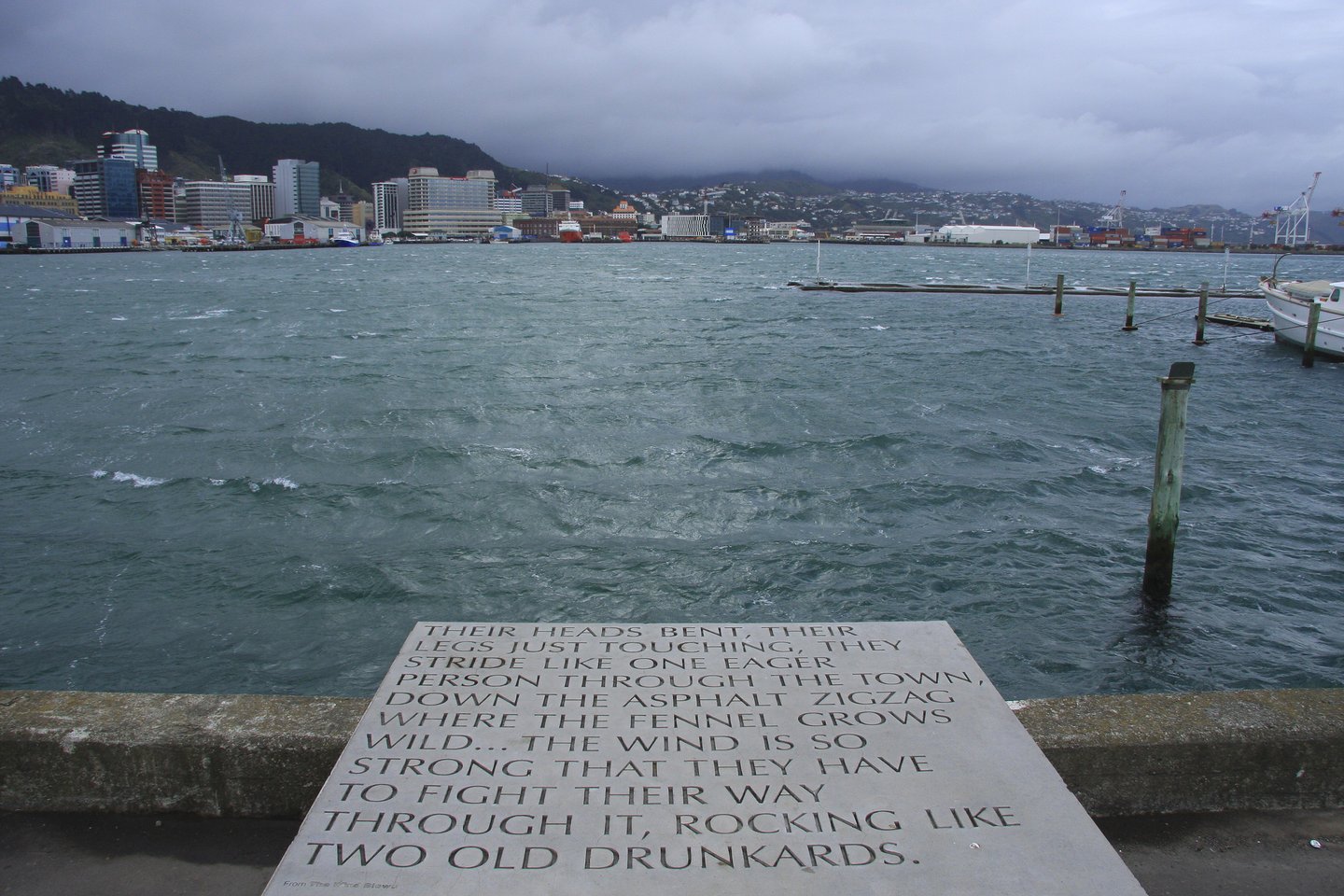 A poem about Windy Wellington at the harbour on a windy day