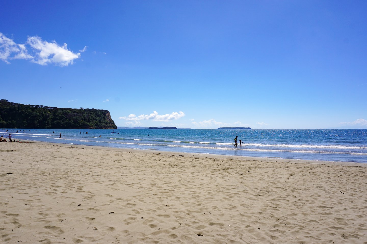 A summer's day at Wenderholm Beach