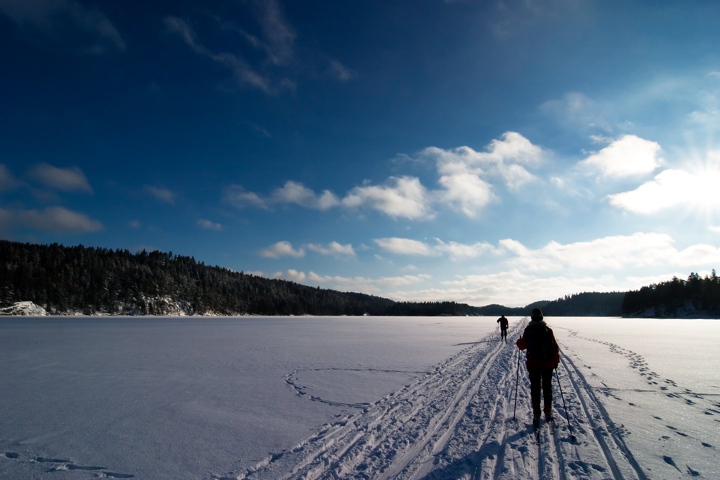 Cross-country skiing in Oslo, Norway.